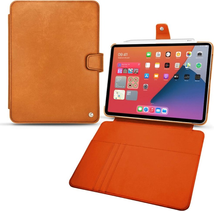 Mandarine vintage ( Pantone #d47231 )