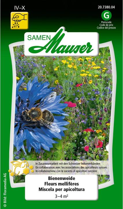 Actual product image Samen Mauser Bee pasture (Plant seeds)