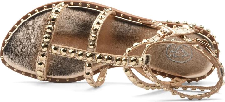 Immagine prodotto Ash PRECIOUS-37 (37)