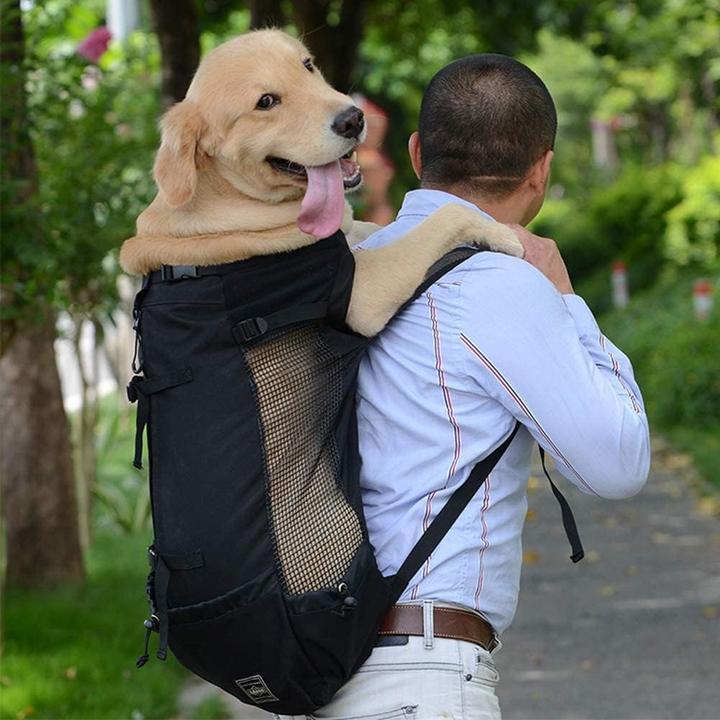 Image du produit WLDOCA Hunderucksack (Chien, Pliable, Respirant, Lavable)