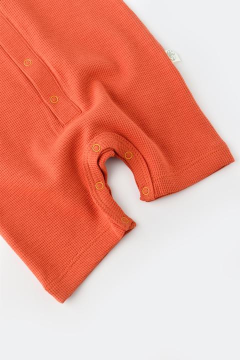 Produktbild BabyCosy Strampler kurze. kurzarm (68)