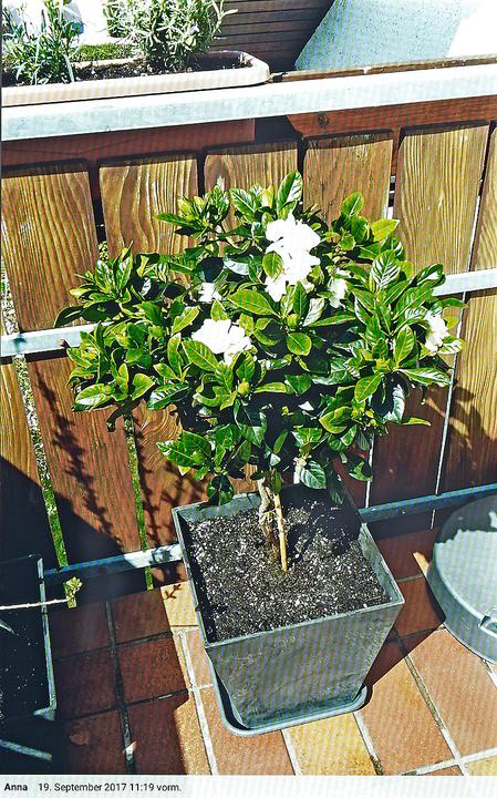 Actual product image Somikon Wi-Fi picture frame with touchscreen & worldwide image uploading (10.10", 1280 x 800 pixels)