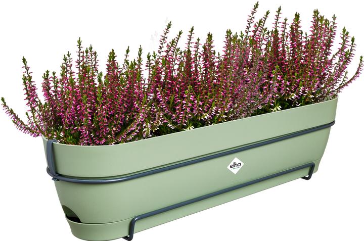 Produktbild Elho Vibia Campana Balkonkasten Allin1 (70 cm)