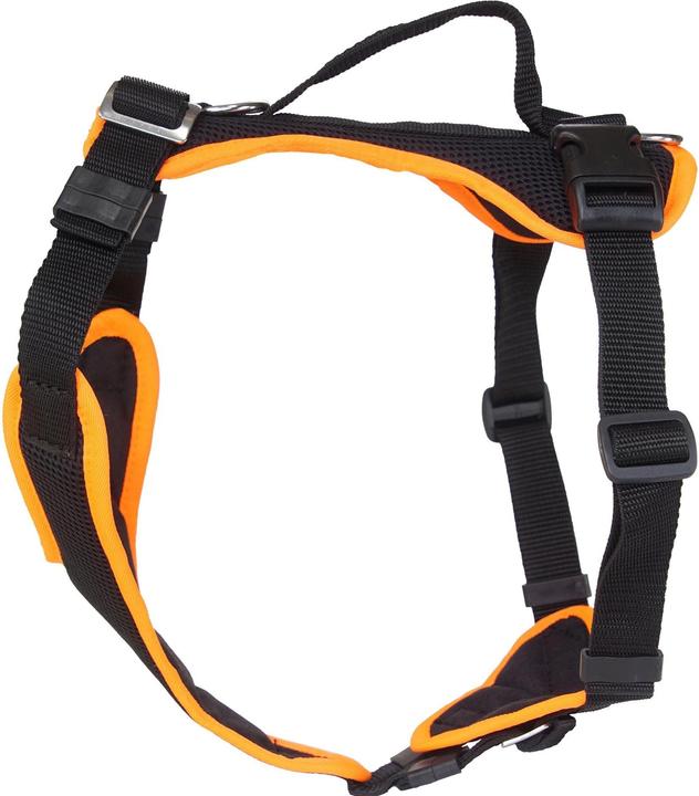 Image du produit Grossenbacher Harnais pour chiots Puppy FunRun Vario (M, Chien, Promenade)