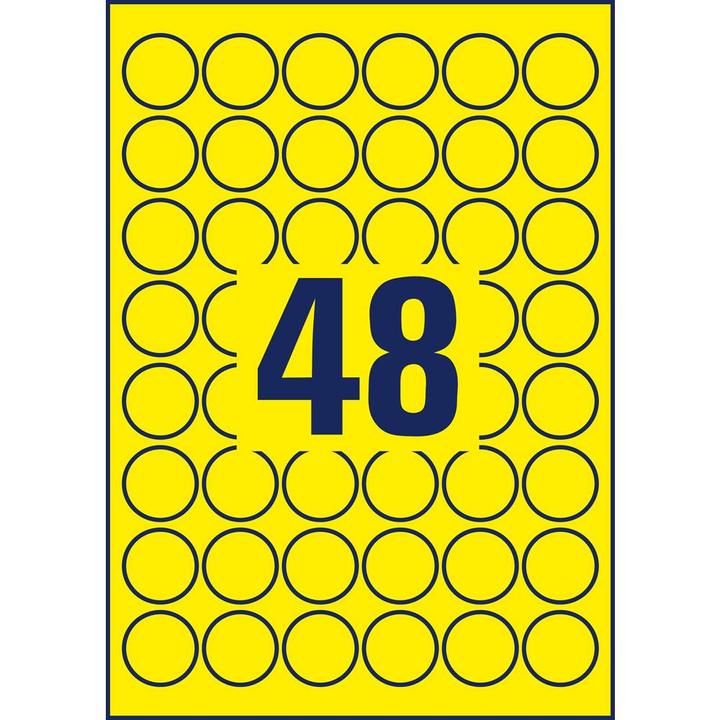 Actual product image Avery Weatherproof labels