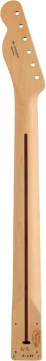 Image du produit Fender Collo Tele MN Ibrido II