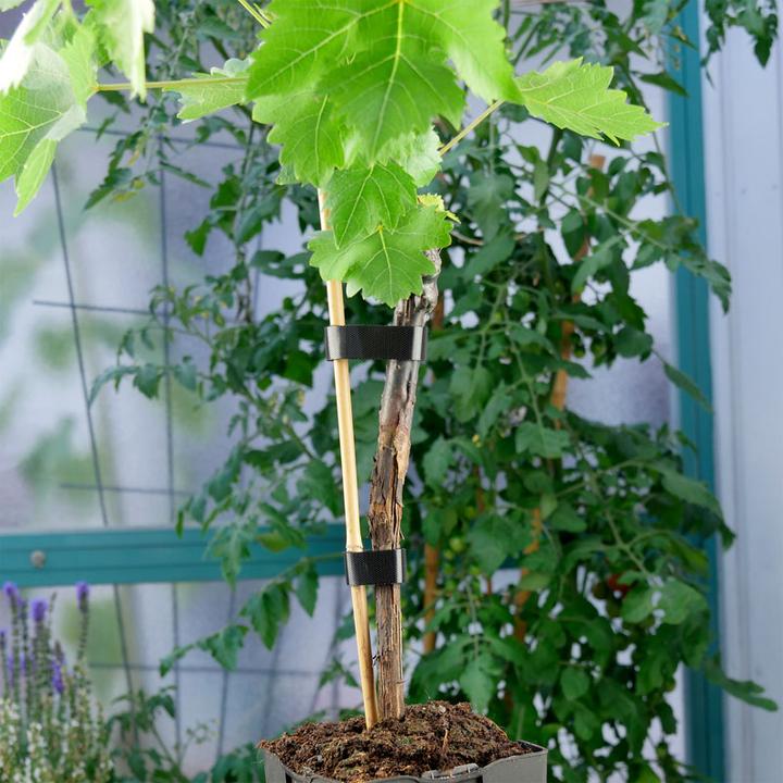 Image du produit Label-the-cable Sangles d'enroulement (16 mm)