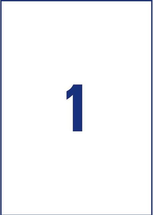 Actual product image Avery J8867 - magnetiske etiketter - 5