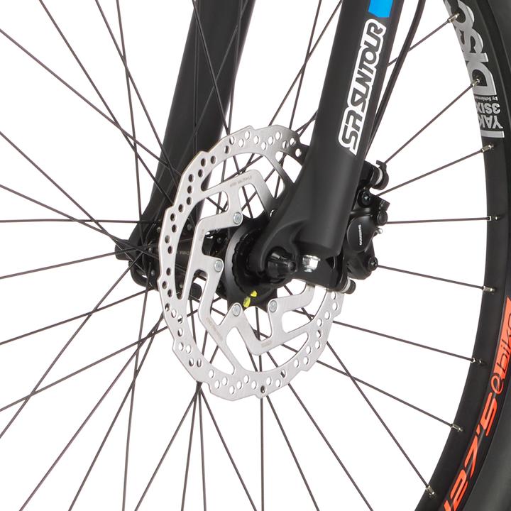 Actual product image Fischer E-MTB Montis 4.0i (48 cm)