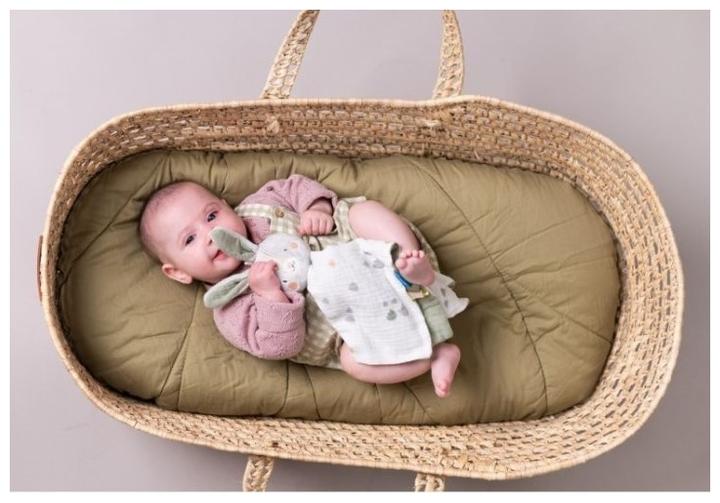 Actual product image Taf Toys Rylee the hare