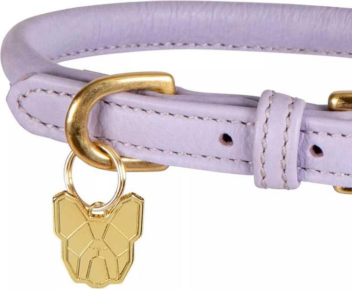 Image du produit Digby & Fox - Collier pour chiens (M, Chien, Général)