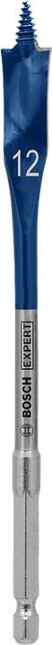Immagine prodotto Bosch Professional Zubehör Expert SelfCut Speed fresa piatta, 12 x 152 mm (12 millimetri)