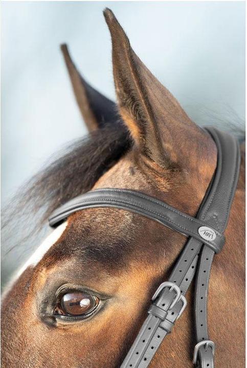 Produktbild HFI Master Soft