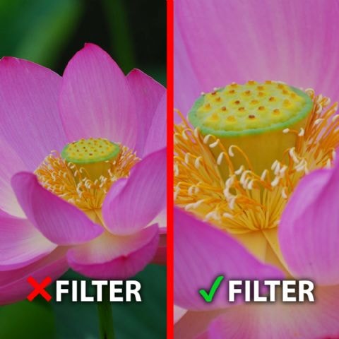 Actual product image Marumi Achromat Macro 200 5 DHG (58 mm, Close-up lens)