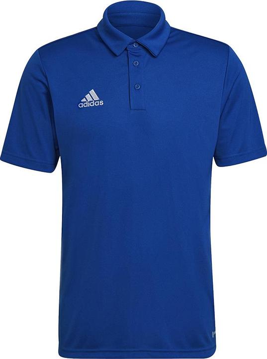 adidas Entrada 22 Poloshirt Herren (XS)