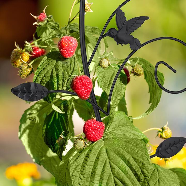 Produktbild Relaxdays Rankhilfe (1 cm, 34 cm)