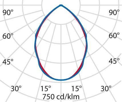Actual product image PiL Win Pro