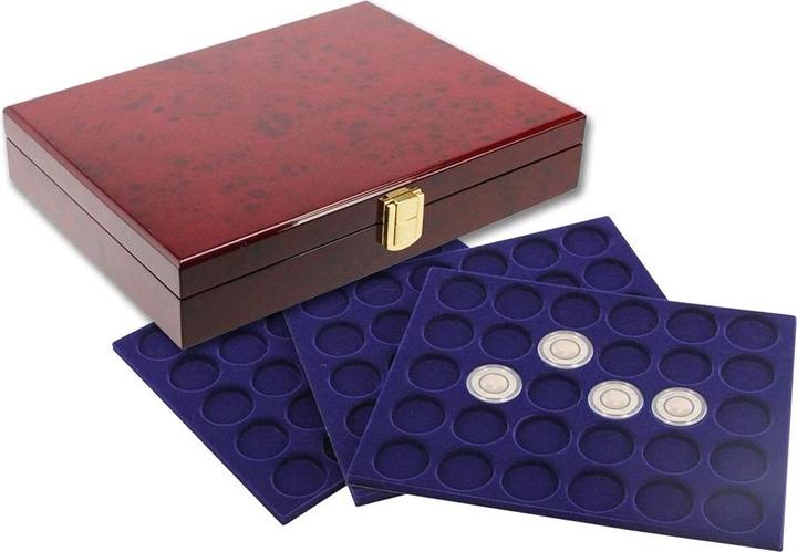 Safe LackholzMünzenkassette Premium5€ Insekten, Planet Erde