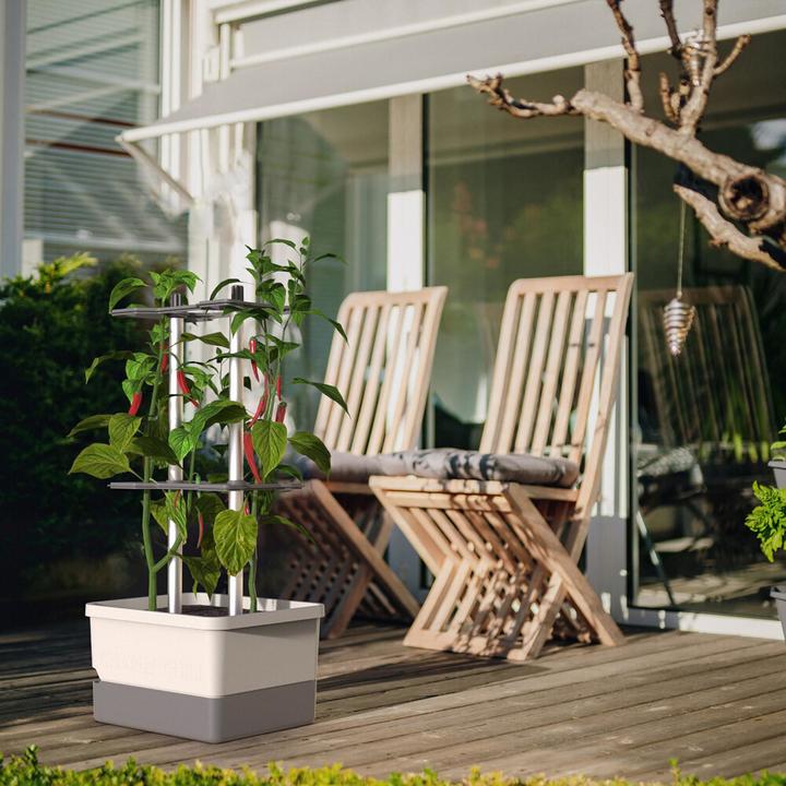 Produktbild Gusta Garden Charly Chili (27.50 cm)