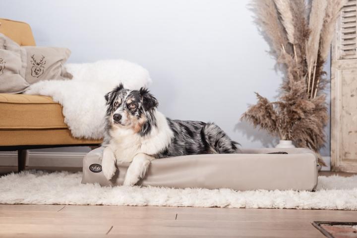 Produktbild Sabro Kudde (Hund)
