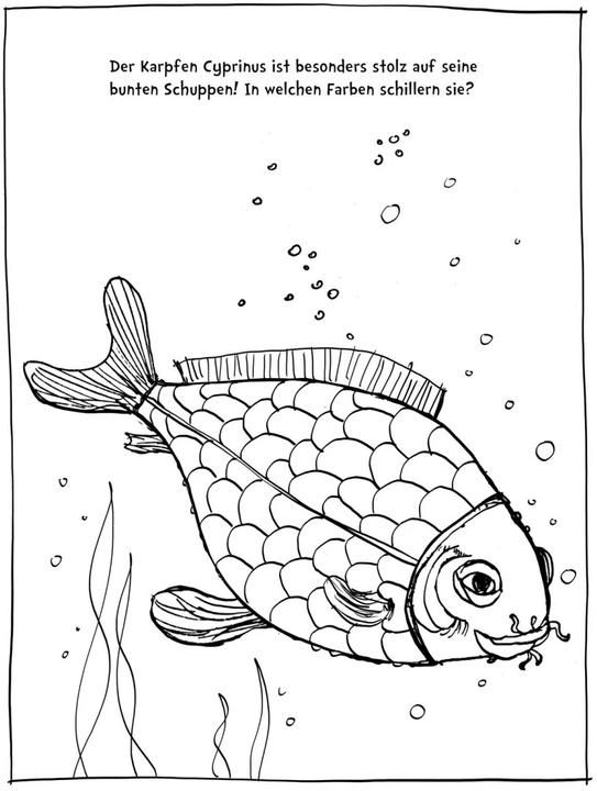 Immagine prodotto Piccolo Acquario (colorare, colorare su, colorare te stesso)