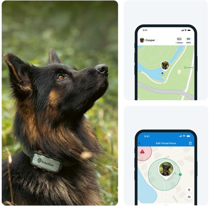 Actual product image Tractive GPS Dog (XL, Dog, Dog sport, Jogging, Walks)