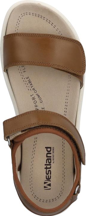 Produktbild Westland 25401-410 (38)