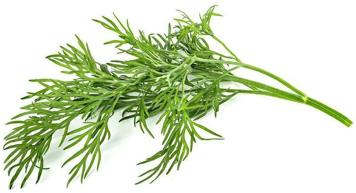 Actual product image Click and Grow Dill (Herb seeds)