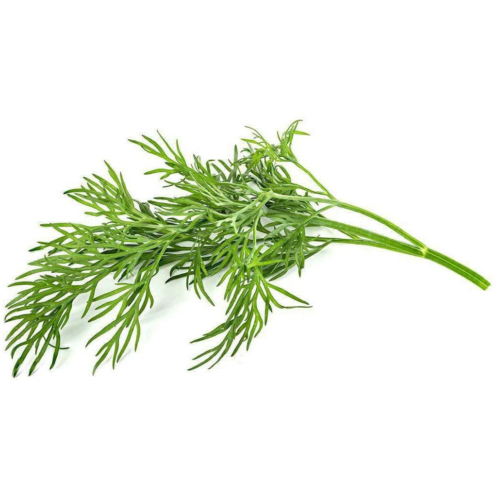 Thumbnail - Click and Grow, Samen, Dill (Kräutersamen)