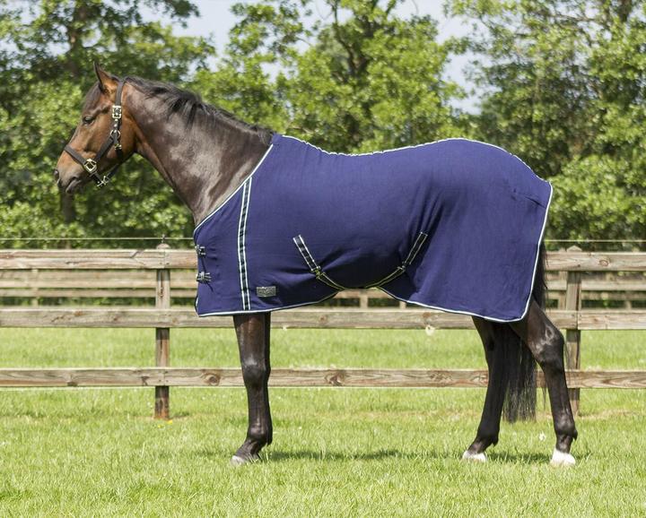 Actual product image Qhp Blanket with strap (155 cm)