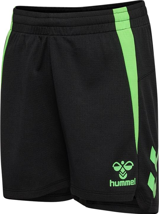 blackgreengecko, Green Gecko, Schwarz