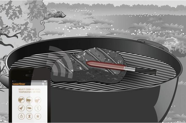 Actual product image Laserliner ThermoControl Air