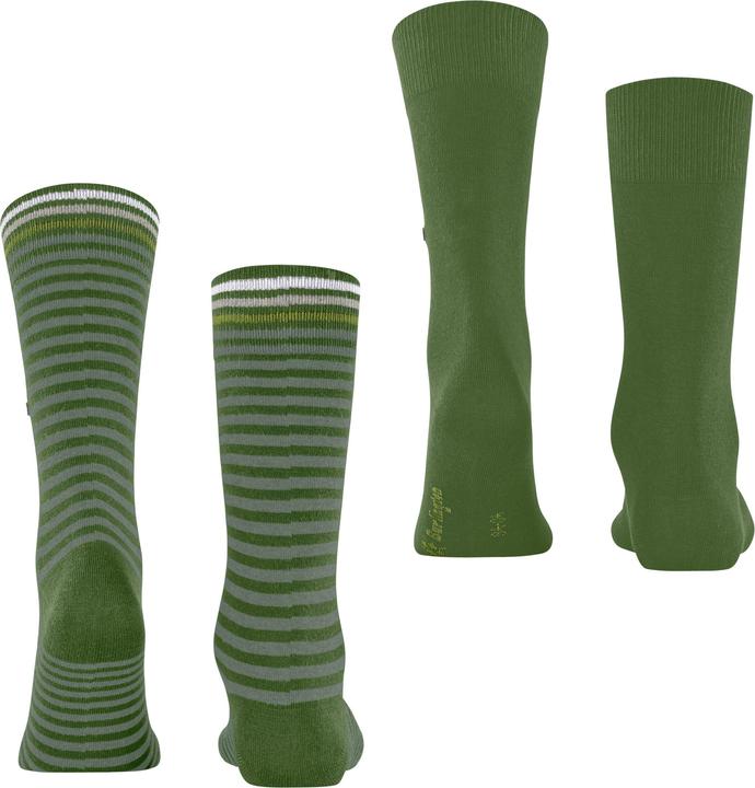 Actual product image Falke Everyday Stripe SO - Mixed 2-Pack (40 - 46)