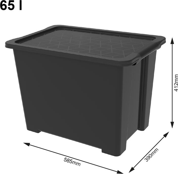 Produktbild Rotho Evo Easy (58.5 x 39 x 41 cm, 65 l)