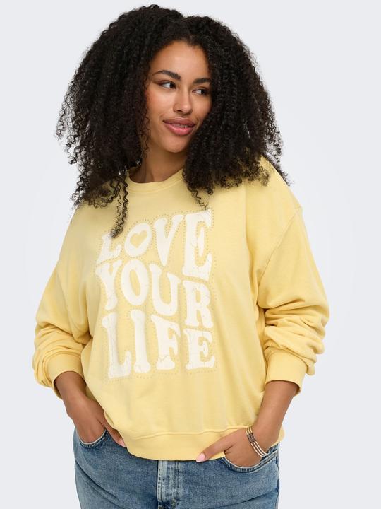Image du produit Only CARSANDY Sweatshirt Sweatshirt (42, 44, S)