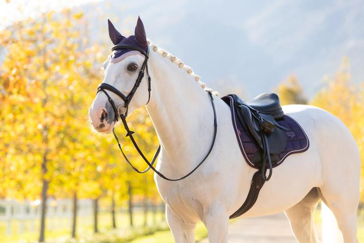 Image du produit LeMieux Loire Classic GP Square