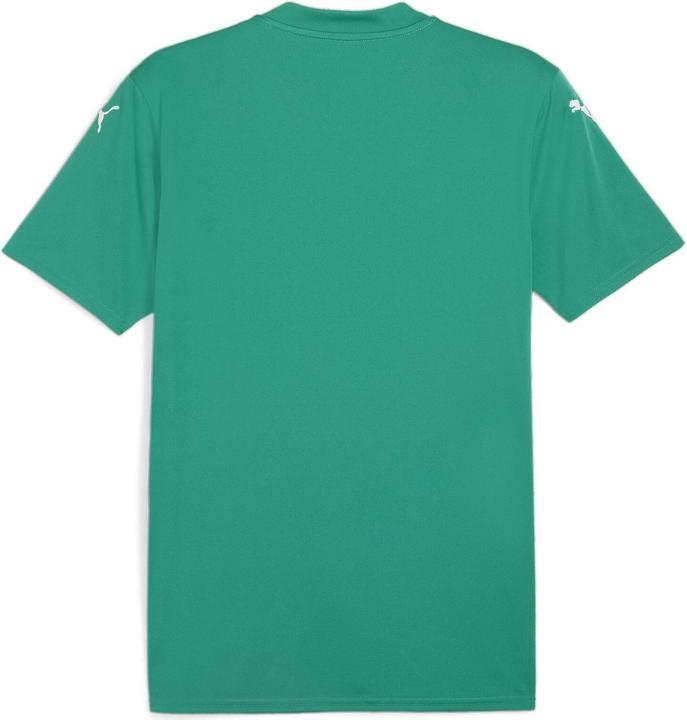 Produktbild Puma teamGLORY Jersey (L)