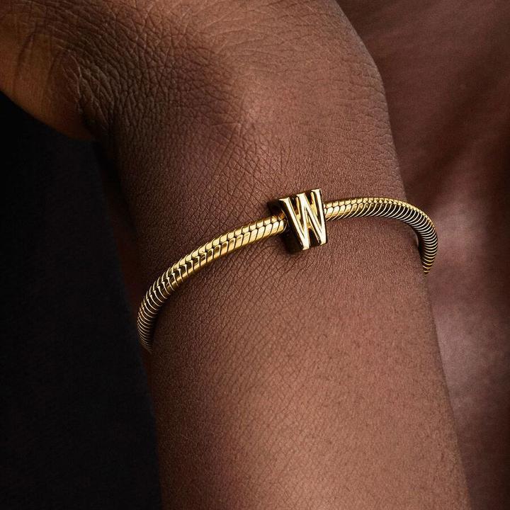 Image du produit Pandora Moments (Métal)