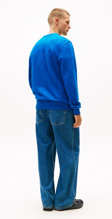 Actual product image Tommy Jeans Tjm Reg Badge Crew Ext (XL)