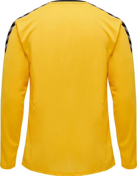 Actual product image hummel Authentic Poly Jersey L/S (M)