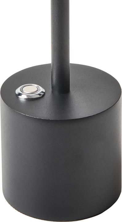 Image du produit Beliani Lizandro (150 lm)