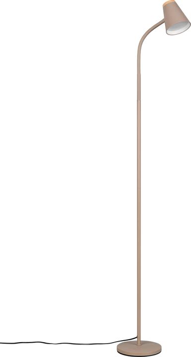 Actual product image Reality LED-Stehleuchte PONGO, R45831143, 4,5W, 500lm, 3000K, beige (500 lm)