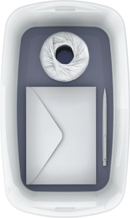 Actual product image Leitz MyBox small with lid white (32 x 19 x 13 cm, 5 l)