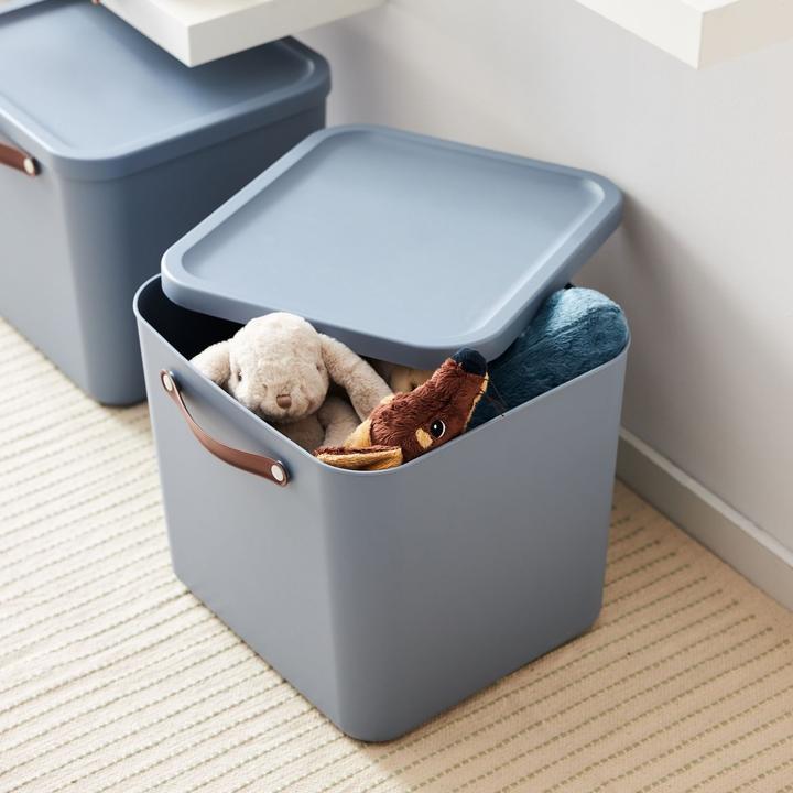 Actual product image Rotho 2er-Set Aufbewahrungsbox Maloja 40l (40 l)