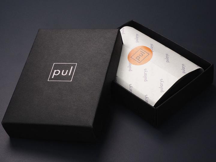 Actual product image Pularys Wallet GOBI credit card holder