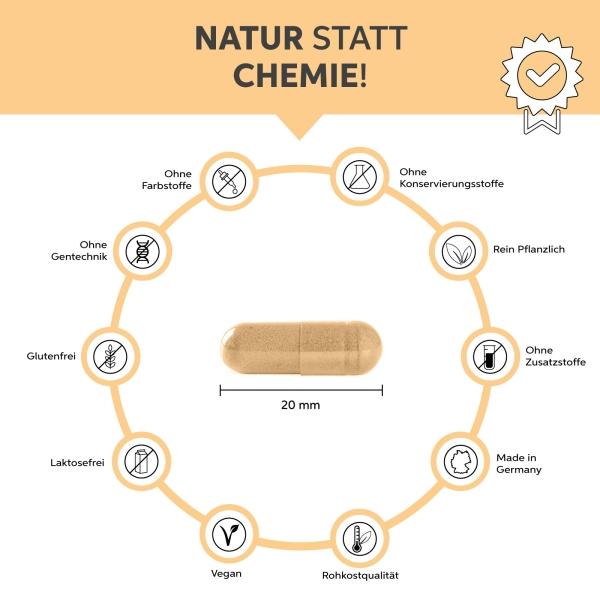 Produktbild Eltabia Bio Maca (100 Stück, Kapseln)