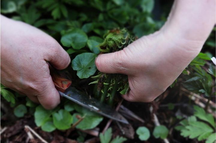 Produktbild Øyo Marka (8.50 cm)