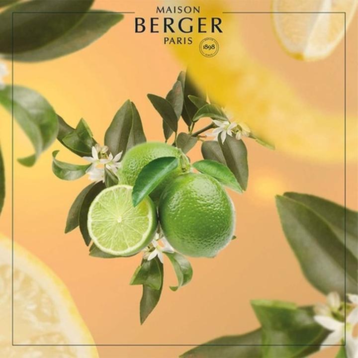 Immagine prodotto Maison Berger Profumo Fleur de Citronier (500 ml)