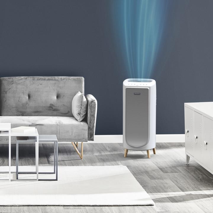Produktbild Rowenta Intense Pure Air (36 m²)