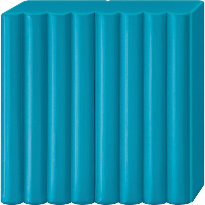 Immagine prodotto Fimo Mod.masse prof 57g benzina